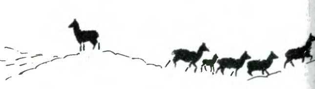 Древо познания - image84.jpg