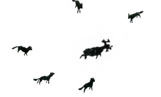 Древо познания - image85.jpg