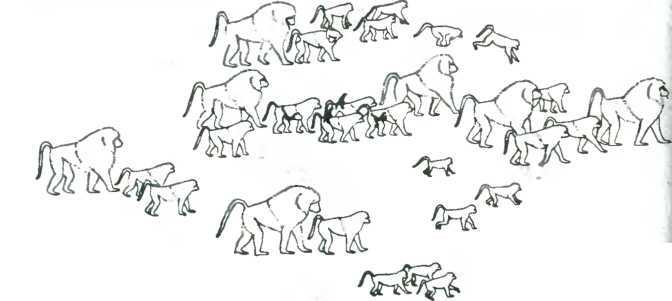 Древо познания - image86.jpg