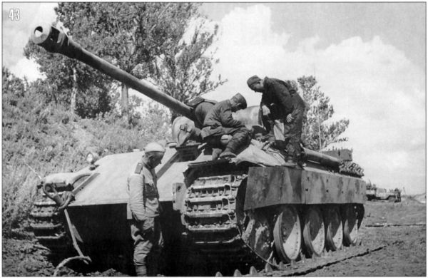Первые «Пантеры». Pz. Kpfw V Ausf. D - i_045.jpg