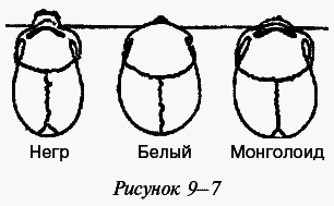 Эректус бродит между нами. Покорение белой расы - i_028.png