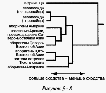 Эректус бродит между нами. Покорение белой расы - i_029.png