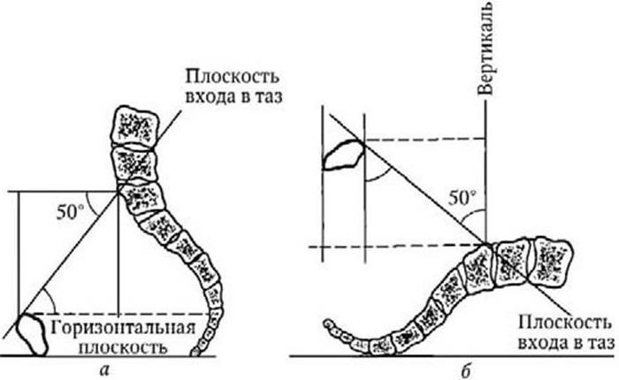 Акушерство - b00000323.jpg