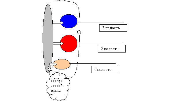 Магия бессмертия – ритмы танца - image3_59f1921eddd3bb217ff75328_jpg.jpeg