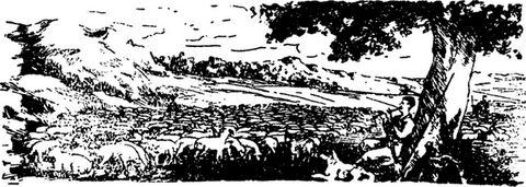 Грузинские блюда - _6.jpg