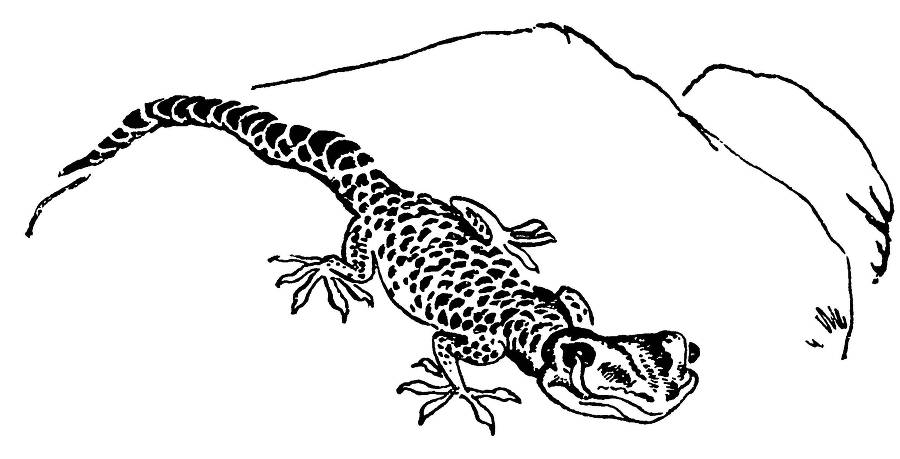 С утра и до вечера - _11.jpg