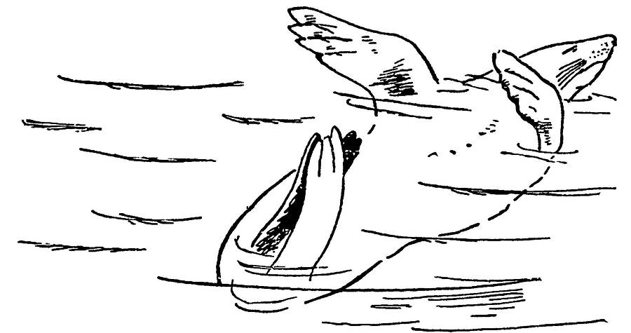 С утра и до вечера - _109.jpg