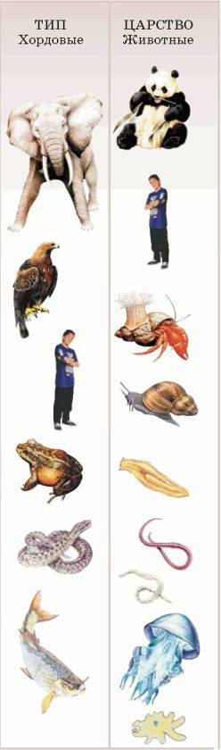 Биология многообразие живых организмов. 7 класс - i_002.jpg