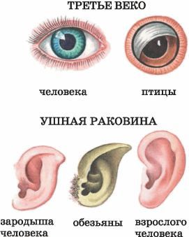 Биология многообразие живых организмов. 7 класс - i_005.jpg