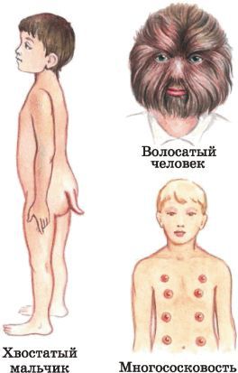 Биология многообразие живых организмов. 7 класс - i_006.jpg