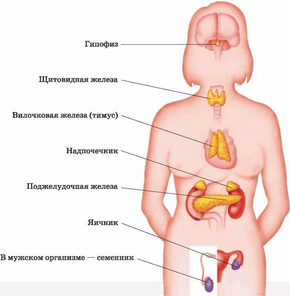 Биология многообразие живых организмов. 7 класс - i_034.jpg