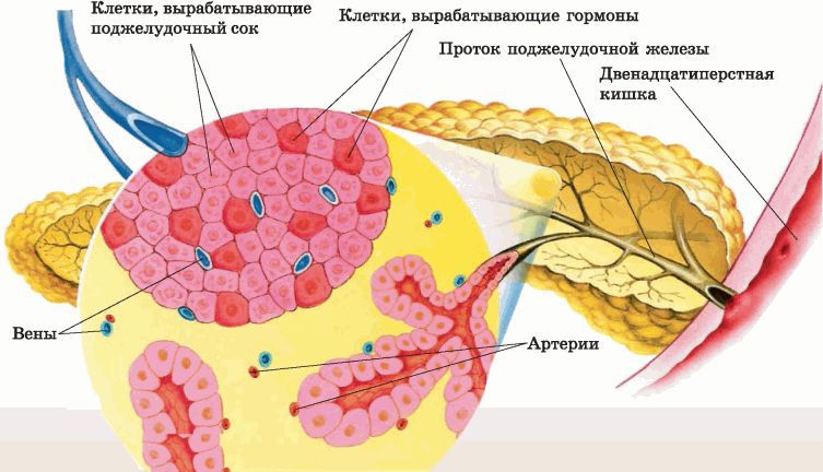 Биология многообразие живых организмов. 7 класс - i_037.jpg