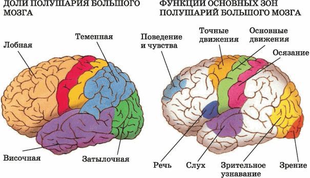 Биология многообразие живых организмов. 7 класс - i_054.jpg