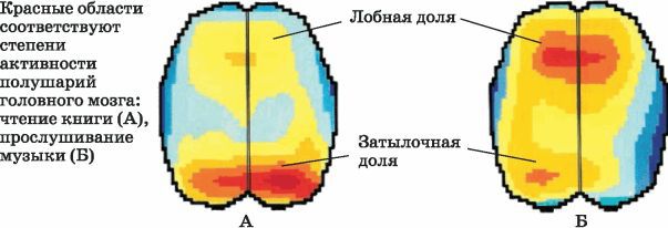 Биология многообразие живых организмов. 7 класс - i_055.jpg