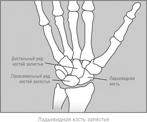 Осторожно, спорт! О вреде бега, фитнеса и других физических нагрузок  - i_002.png