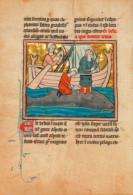 Имя розы - i_008.jpg