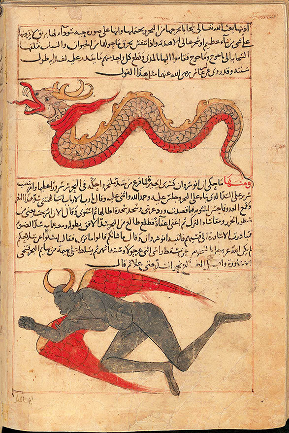 Имя розы - i_012.jpg