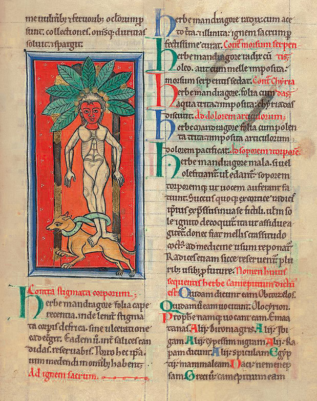 Имя розы - i_033.jpg