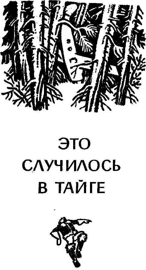 Это случилось в тайге (сборник повестей) - i_008.png