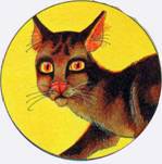 Секреты Племен - pic_204.jpg