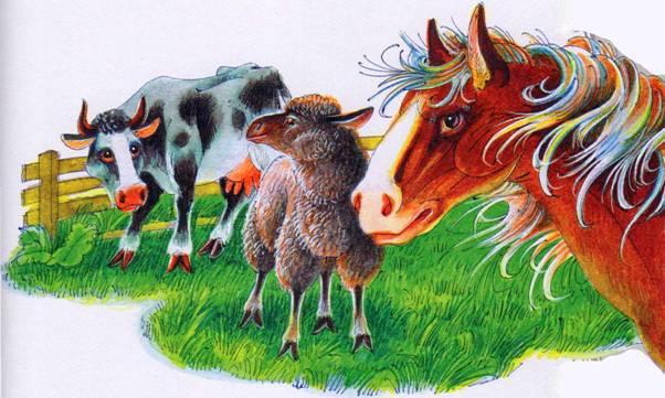 Секреты Племен - pic_350.jpg