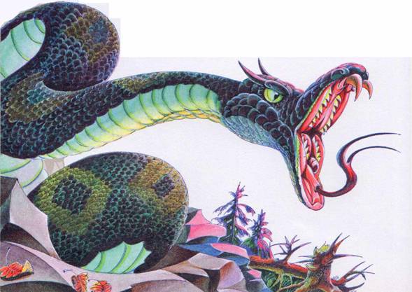 Секреты Племен - pic_356.jpg