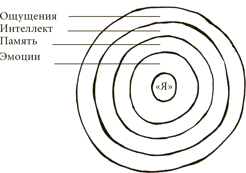 Техника одушевления предметов. Система навыков Дальнейшего ЭнергоИнформационного Развития - ris17.jpg