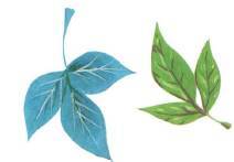 Любимые сказки и рассказы - _16.jpg