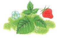 Любимые сказки и рассказы - _71.jpg