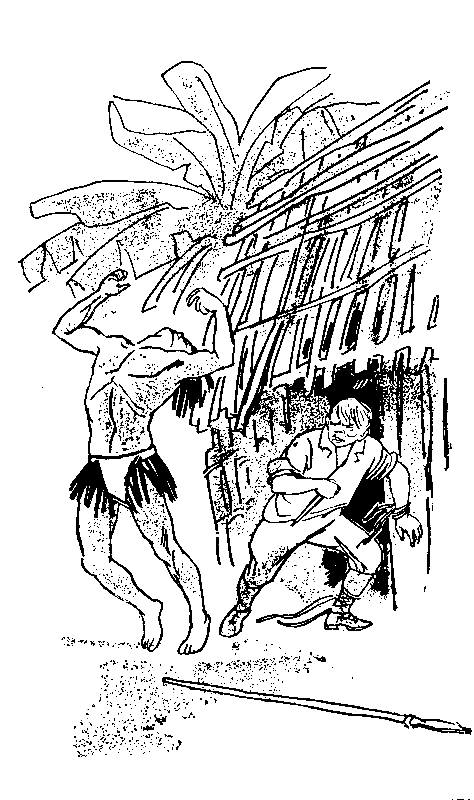 Сын воды. В стране райской птицы. Амок - pic_15.png