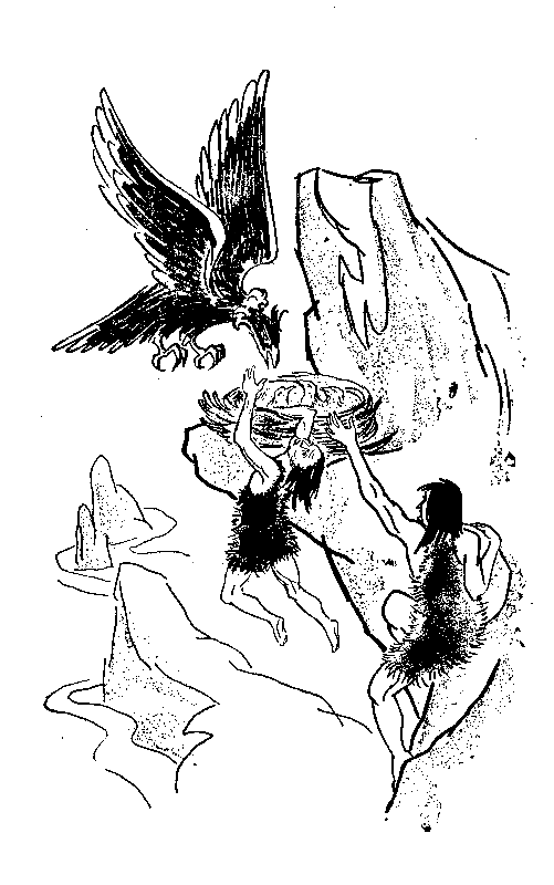 Сын воды. В стране райской птицы. Амок - pic_7.png