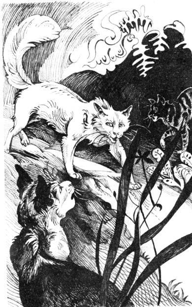 Нерассказанные истории: История Остролистой - pic_12.jpg