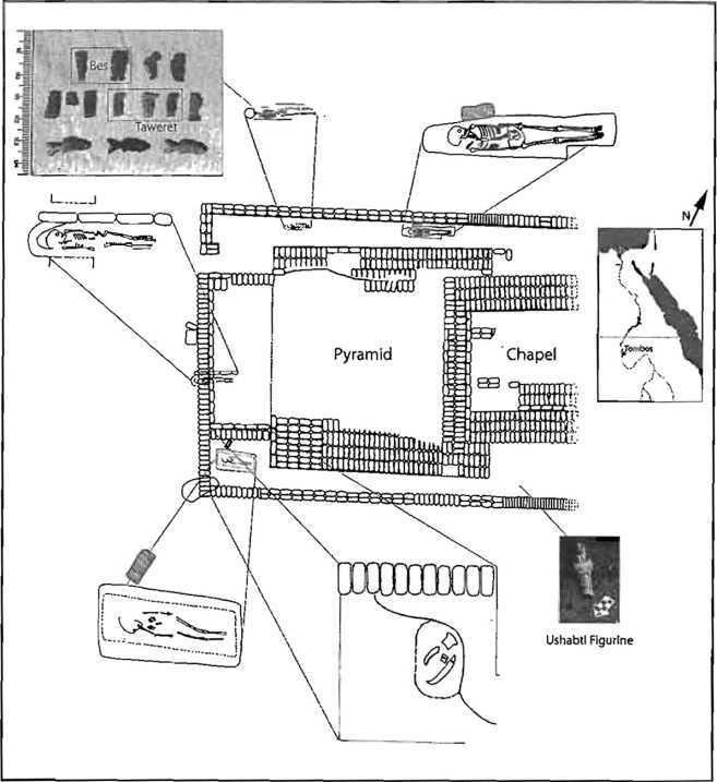 Пыль Египта. Рассказы о мумиях. Том III - image22.jpg