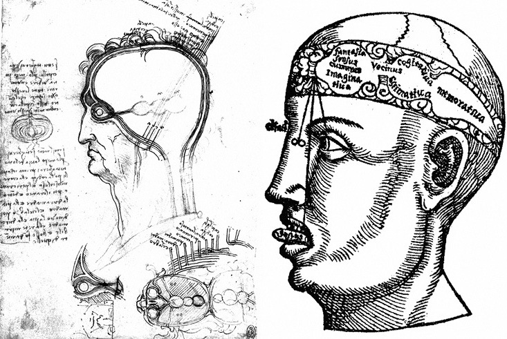 Происхождение личности и интеллекта человека. Опыт обобщения данных классической нейрофизиологии - i_003.jpg