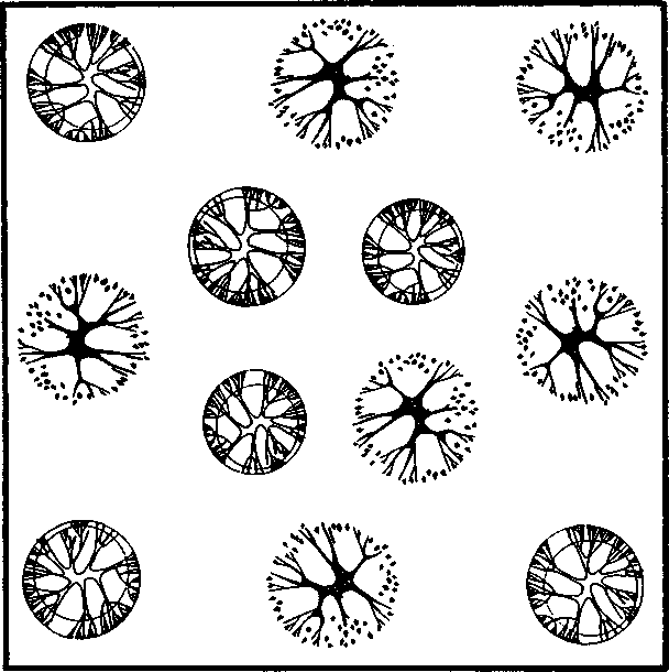 Самые трудные головоломки из старинных журналов - img_28.png