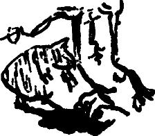 Убю король и другие произведения - i_082.png