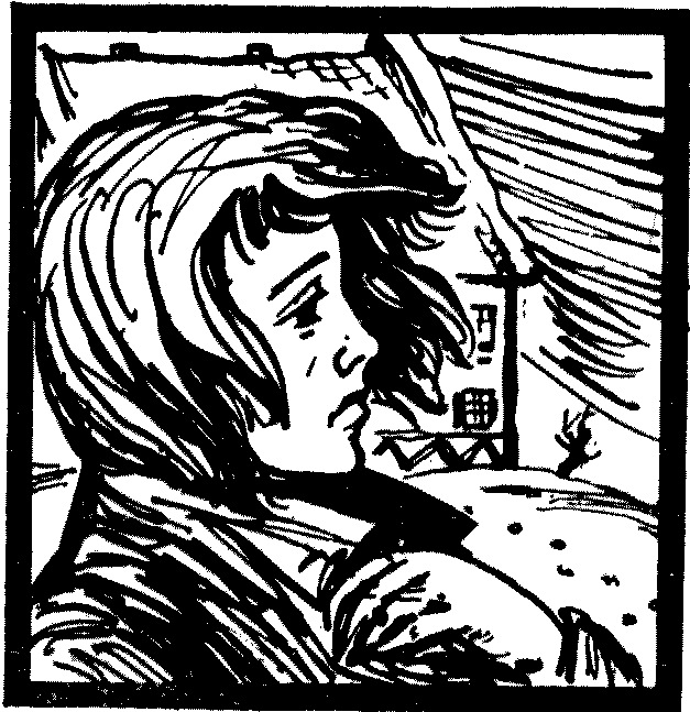 Современная датская новелла - i_028.png