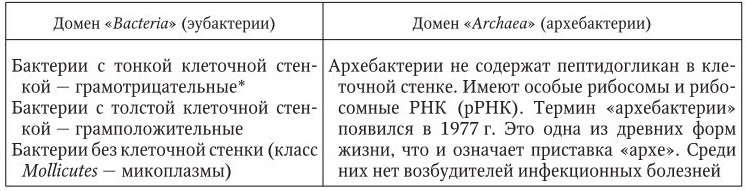 Инфекционные болезни - b00000329.jpg