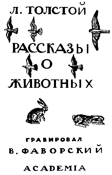 Рассказы художника-гравера - i_020.png