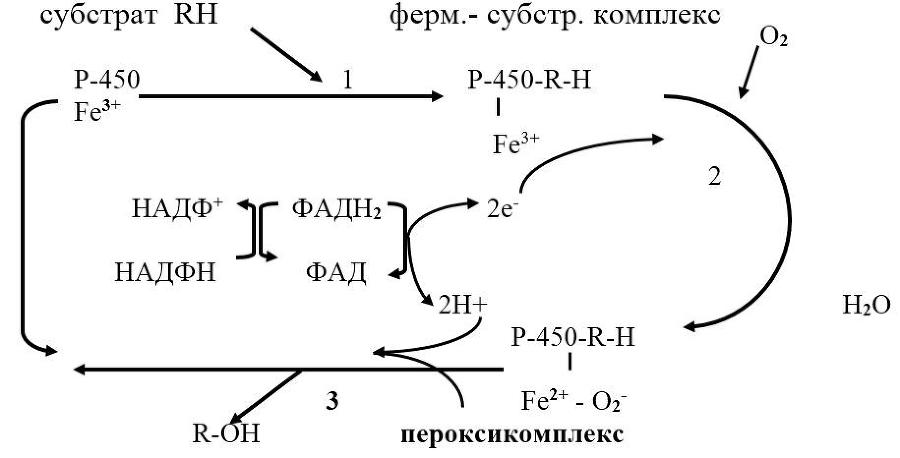 Биологическая химия - _12.jpg