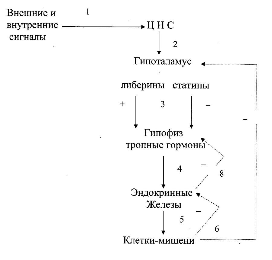 Биологическая химия - _14.jpg