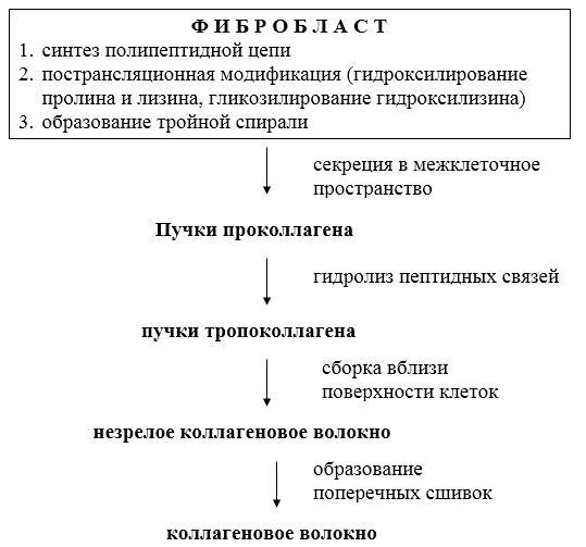 Биологическая химия - _38.jpg