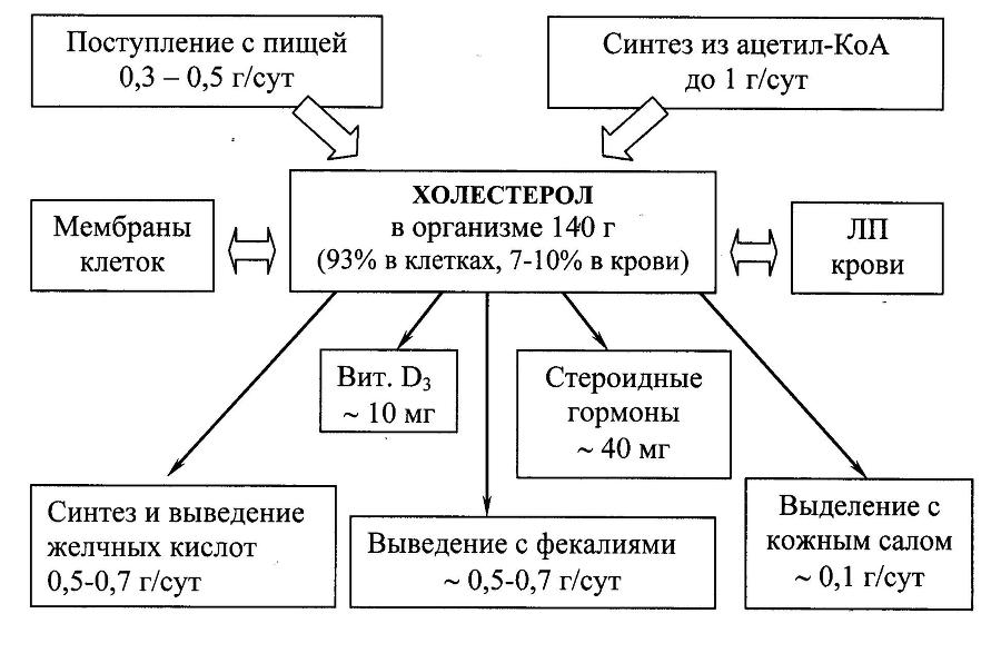 Биологическая химия - _24.jpg
