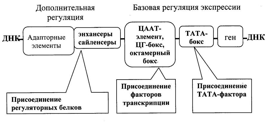 Биологическая химия - _5.jpg