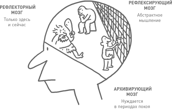 Мозг освобожденный. Как предотвратить перегрузки и использовать свой потенциал на полную мощь - i_004.png