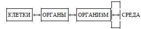 Раздумья о здоровье - img513A.jpg