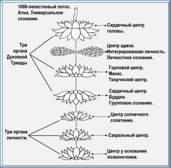 Эзотерическое целительство - img_27.png