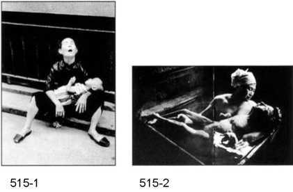 Фотография как... - _294.jpg