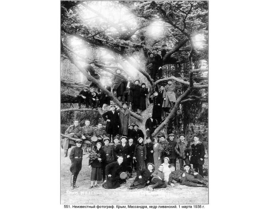 Фотография как... - _330.jpg