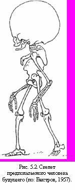 Теория адекватного питания и трофология - _16.jpg